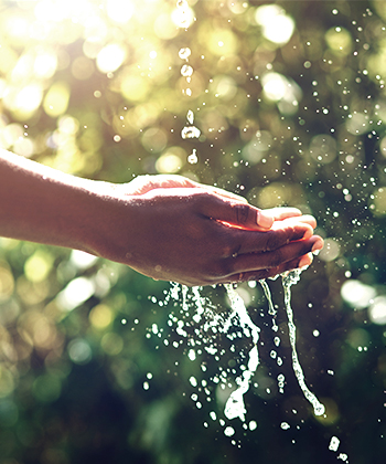 hands catching water
