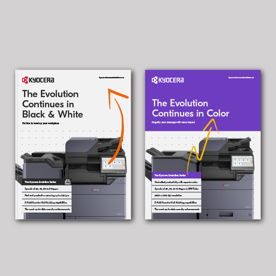 Delve into the brochure