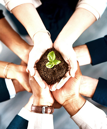 hands with plant